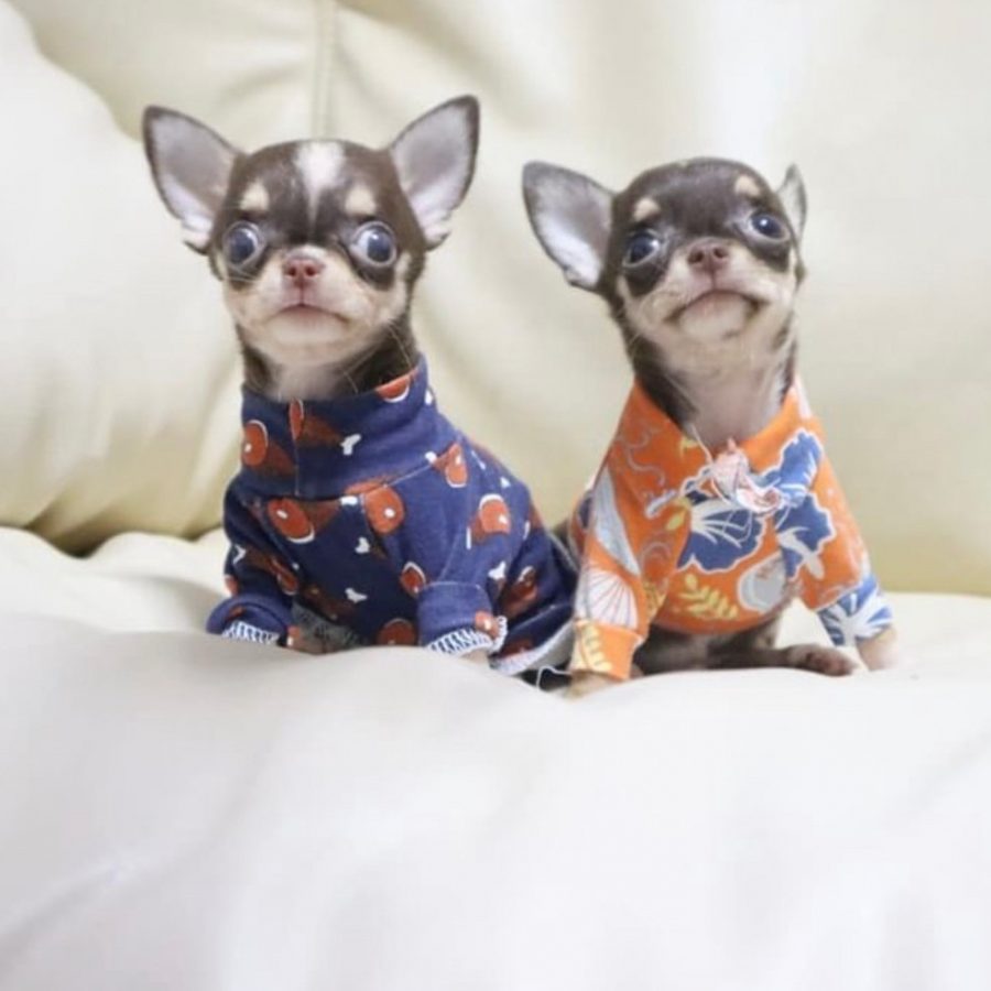 LINE_ALBUM_RCN_220612_0