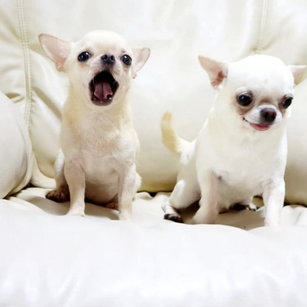 LINE_ALBUM_RCN_220612_13