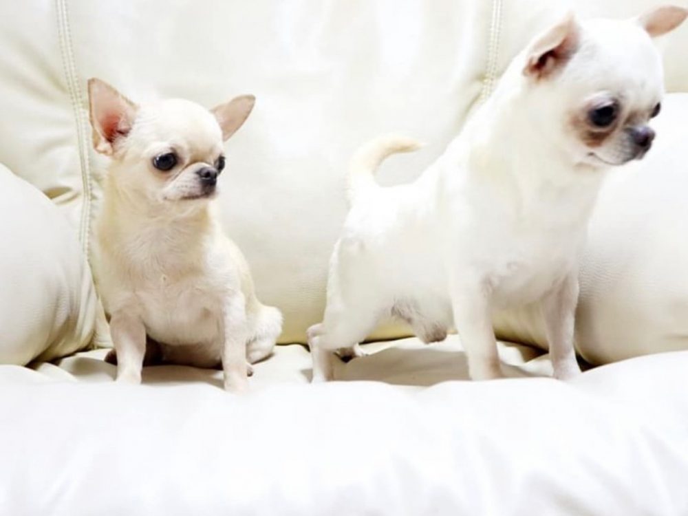 LINE_ALBUM_RCN_220612_14