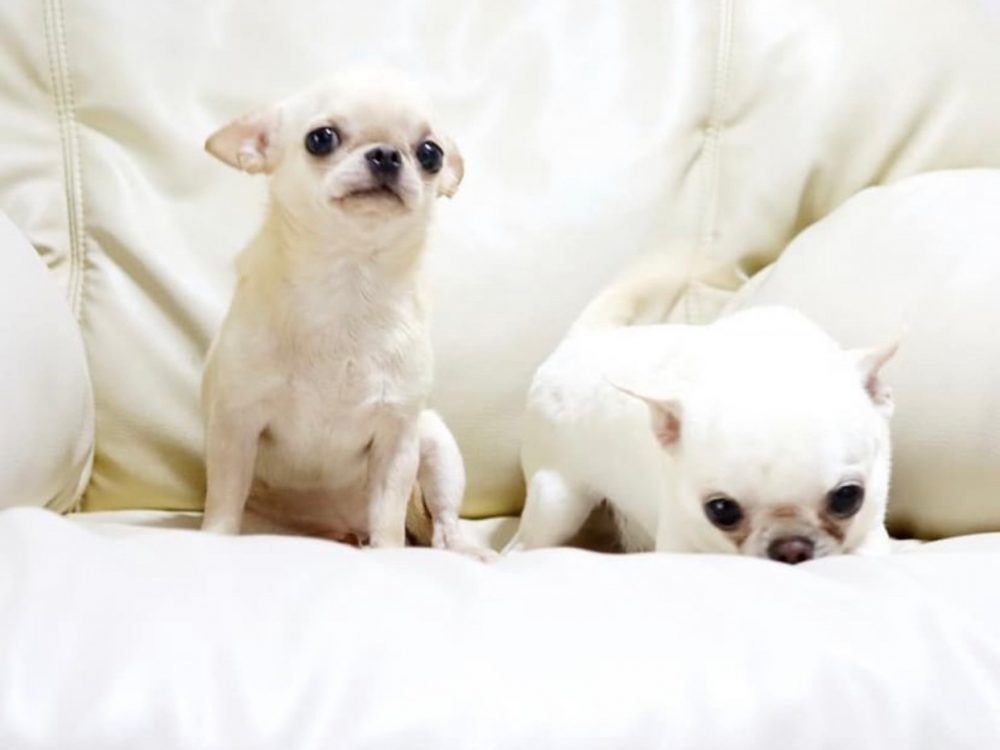 LINE_ALBUM_RCN_220612_15