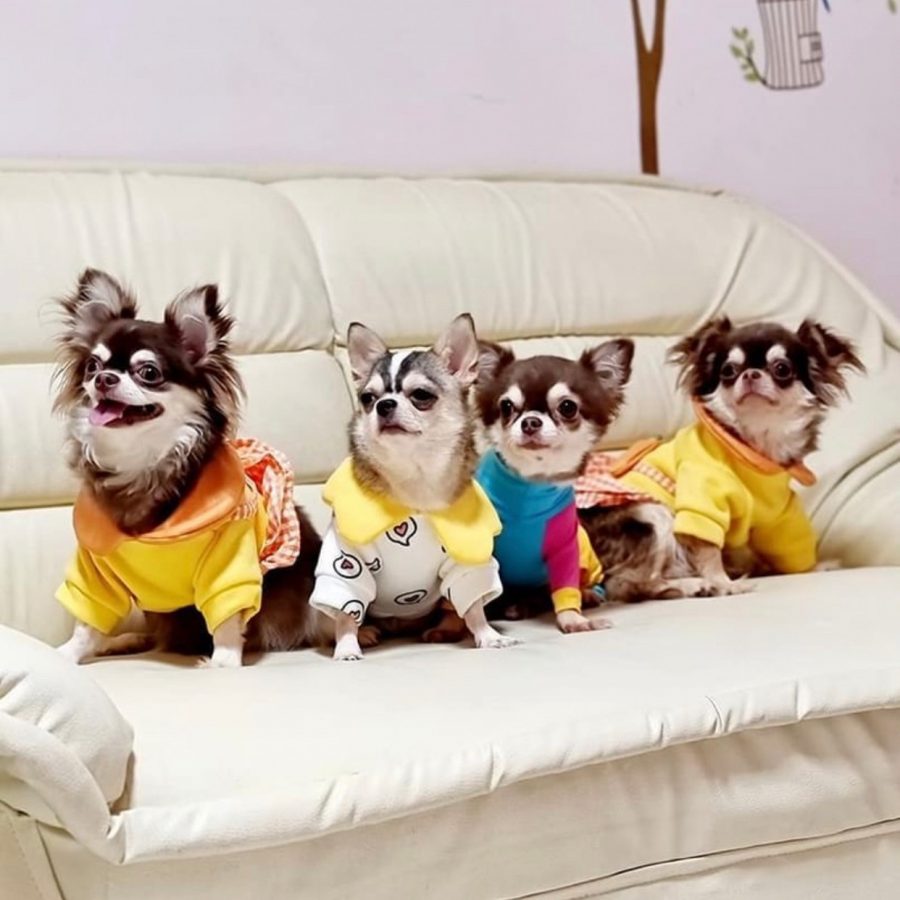 LINE_ALBUM_RCN_220612_18
