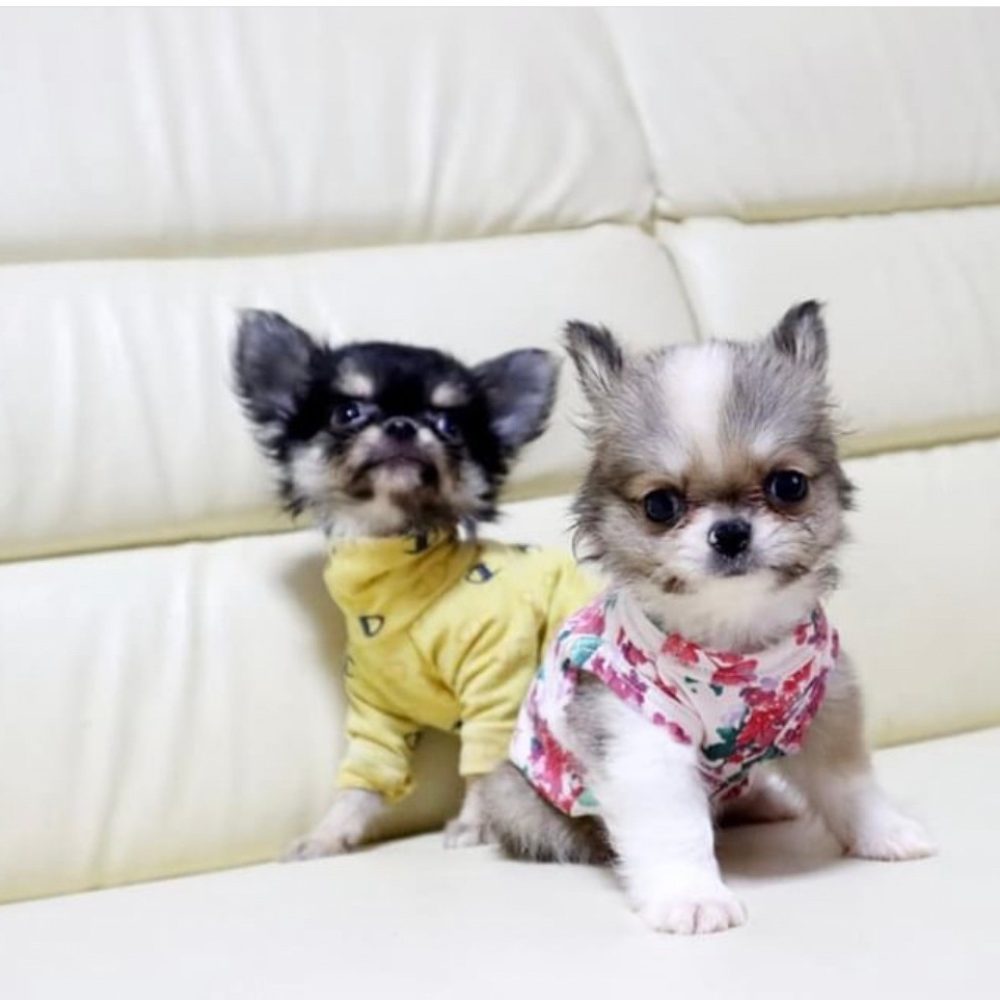 LINE_ALBUM_RCN_220612_22