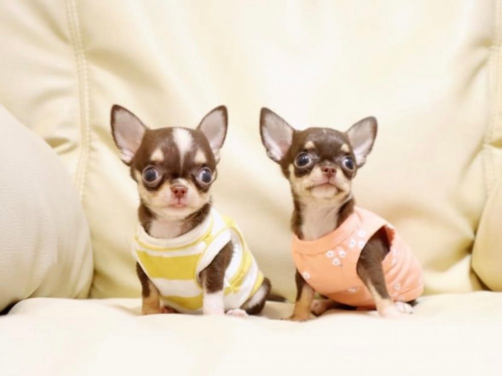 LINE_ALBUM_RCN_220612_3
