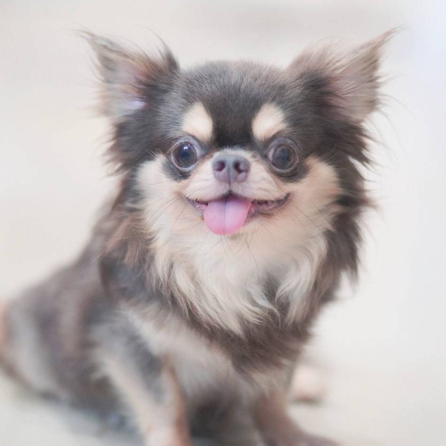 หมื่นลี้New