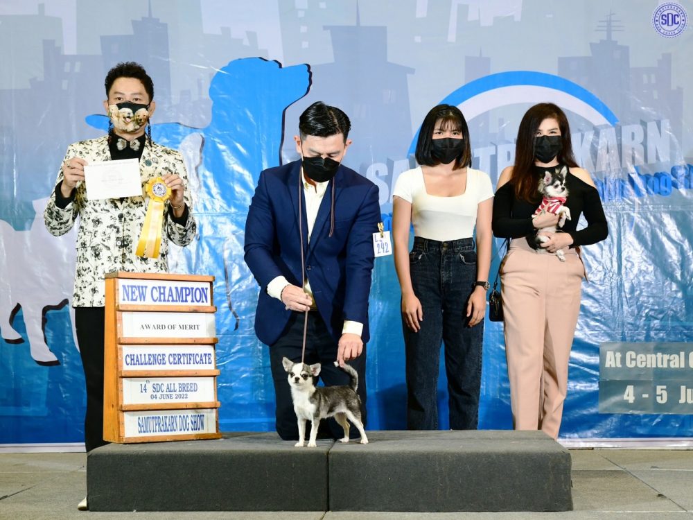 ฟาร์มชิวาวา_ชนะเลิศ_1